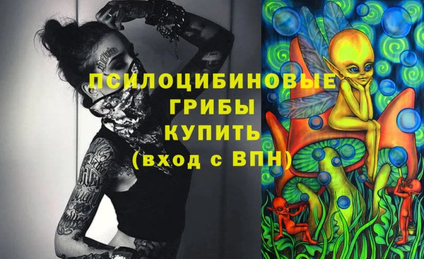 эйфоретик Бронницы