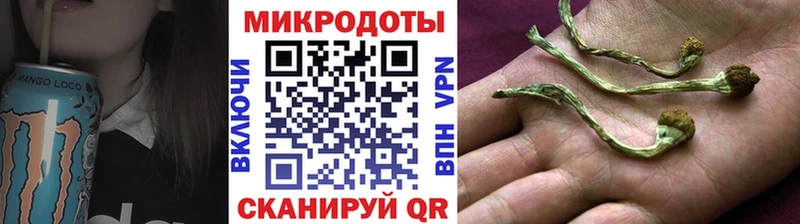 Псилоцибиновые грибы мицелий  KRAKEN маркетплейс  Няндома 